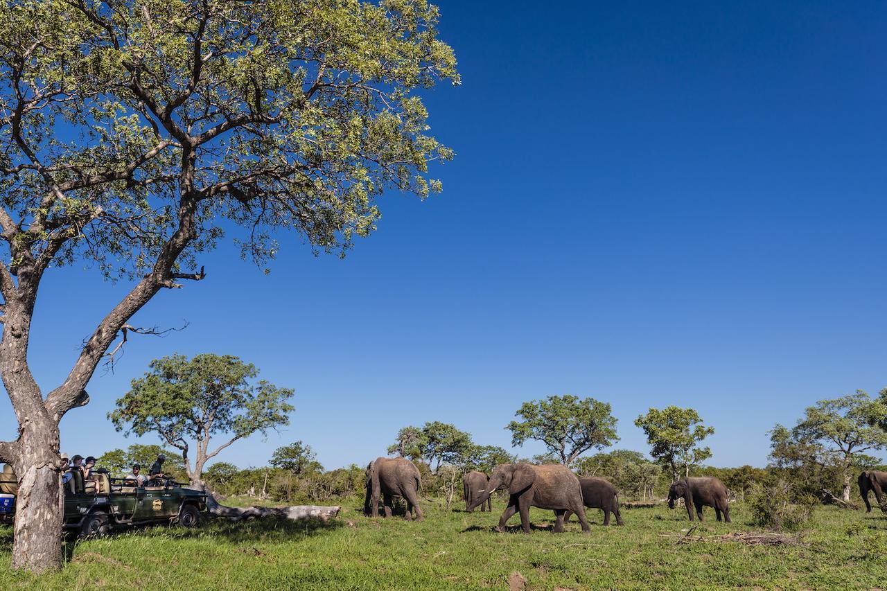 Shindzela Tented Camp Timbavati Game Reserve Exterior foto