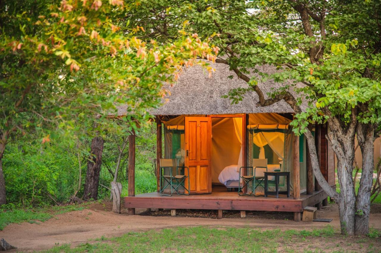 Shindzela Tented Camp Timbavati Game Reserve Exterior foto